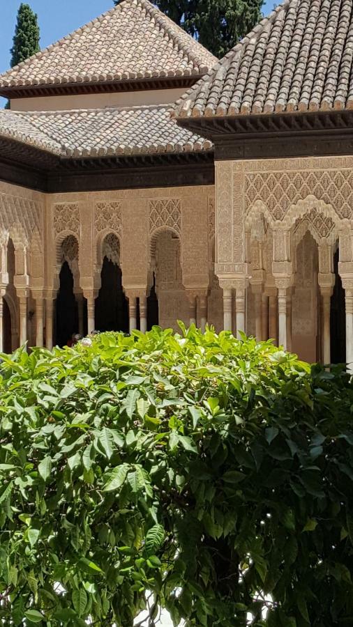 그라나다 Mirador Alhambra - 2 Private Terraces - Wifi - 아파트 외부 사진